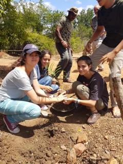 Wildcat hostel Yala - 4