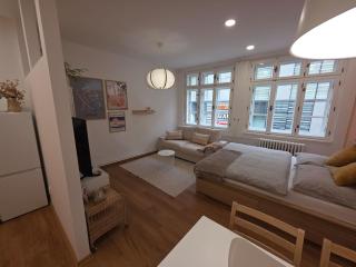 Apartmány v centru Olomouce - 3