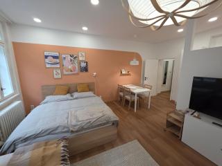 Apartmány v centru Olomouce - 6
