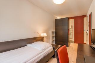 Hotel Alpina Luzern - Lucerna - 6