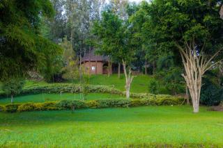 Ruhondo Beach Resort - 4