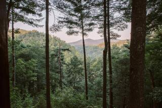 Secluded 4WD Getaway with Mountain Views and Hot Tub - 6