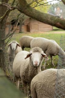 Будинок Вікінгів - 3