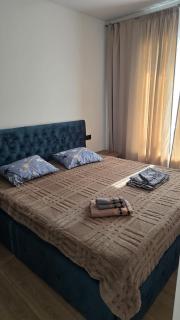 Apartment in Borjomi - 5