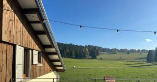 Tente Glamping dans les arbres de la Ferme du Bois de l'halle - 4