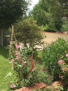 La Maison d'Alice - 9