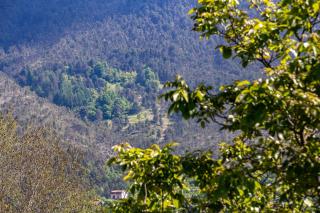 Corte Girodo - Appartamento Viola - 8