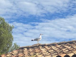 Rifugio Storico sul Mare - 1