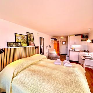 Cosy apartment with private terrace - 0