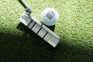 The Donna Portals - 1