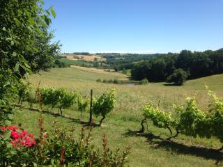 Gîte de Raoussou - 3