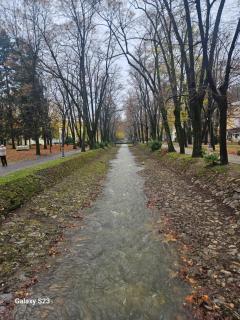 Blue Wave Vrnjacka banja - 8