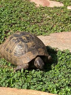 Rifugio Storico sul Mare - 9
