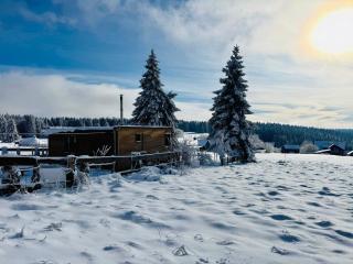 Tiny Chalet Stuga Am Rennsteig mit Kamin und Garten, Hunde Willkommen - 1