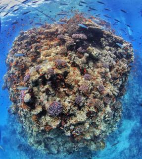 VESTA - Gouna Residence - 4