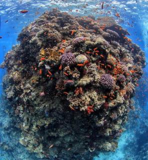 VESTA - Gouna Residence - 2