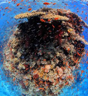 VESTA - Gouna Residence - 1