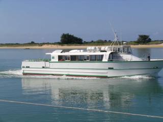 Étel - Bel appartement 2 pièces avec balcon, proche des plages et commerces - FR-1-479-201 - Étel - 3