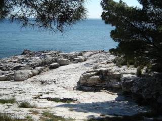 Gemütliches Appartment nur zehn Meter vom Strand entfernt - b48740 - 5