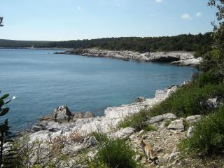 Gemütliches Appartment nur zehn Meter vom Strand entfernt - b48740 - 4