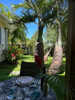 Le 4 saisons, charmant T2, jardin tropical, piscine - 6