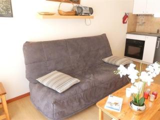 Appartement T2 pour 4 à 5 pers, Saint-Lary-Soulan, cuisine équipée, balcon sud, proche services et loisirs - FR-1-457-221 - 1