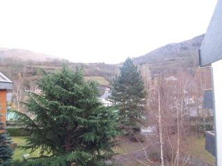 Confortable T2 pour 4 avec parking à St Lary Soulan - FR-1-457-218 - 1