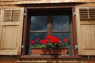 Ferienhaus Dünser In Dünserberg - 1