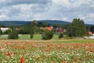Ferienhaus in kleiner Ferienanlage mit vielen Freizeitmöglichkeiten - b56477 - 2