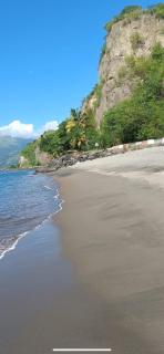 le TI-ANOLIS tartane martinique - 9