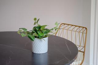 Bayswater Station Studio - 16 - 8