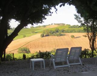 Solebello Mulberry - 5