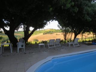 Solebello Mulberry - 3