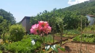 Studio für 5 Personen ca 90 qm in Opatija-Pobri, Kvarner Bucht Gespanschaft Primorje-Gorski - 8