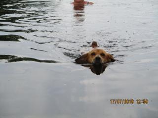 Appartement Mit Garten, Grill Und Terrasse - 5