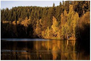 Ferienhaus in kleiner Ferienanlage mit vielen Freizeitmöglichkeiten - b48746 - 5