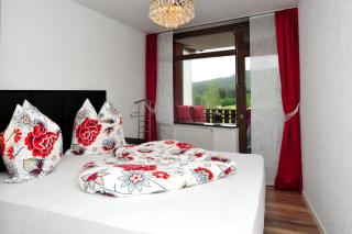 Tolles Appartement Mit Pool In Schluchsee - 4