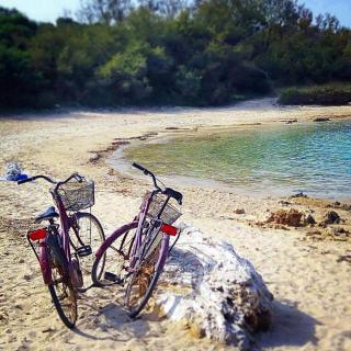 Villa Stella Cadente Mit Privatem Pool - 4