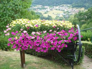 Das Gîte Fleuri Mit Einer Herrlichen Aussicht - Haselbourg - 4