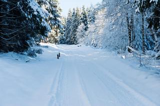 BSW-Erlebnishotel Festenburg - 8