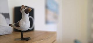 Ferienwohnung N21 - 1