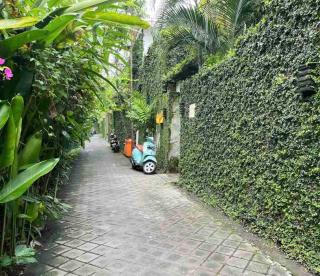 Villa Odil, Great Value 700m beach & 15m pool - 9