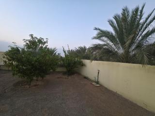 Chalet - House -Sand Adventures Oasis - Bidiyah - Oman - 7