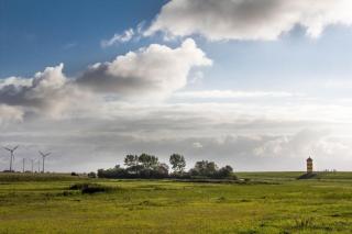 Tinis Huus Ant Siel - 9