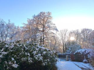 Ferienhaus "Vier Jahreszeiten" - 3