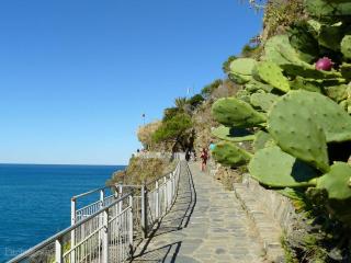 Camping La Sfinge - Deiva Marina - 0