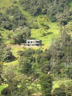 House Trail Lyones - 7