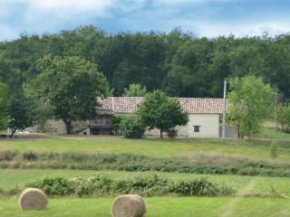 Gîte de Mandarou - 4