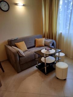 Milushevi apartment - 1