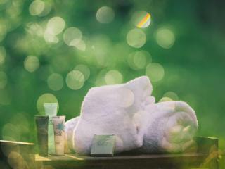 Courchevel 1550 : Appart cosy 4 pers, animaux OK, accès SPA - FR-1-631-229 - 1